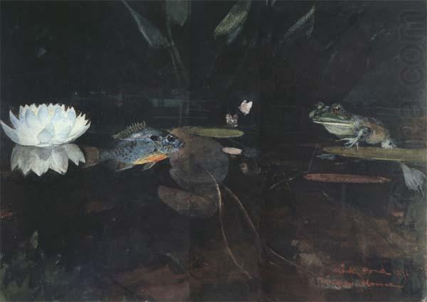 The Mink Pond (mk44), Winslow Homer